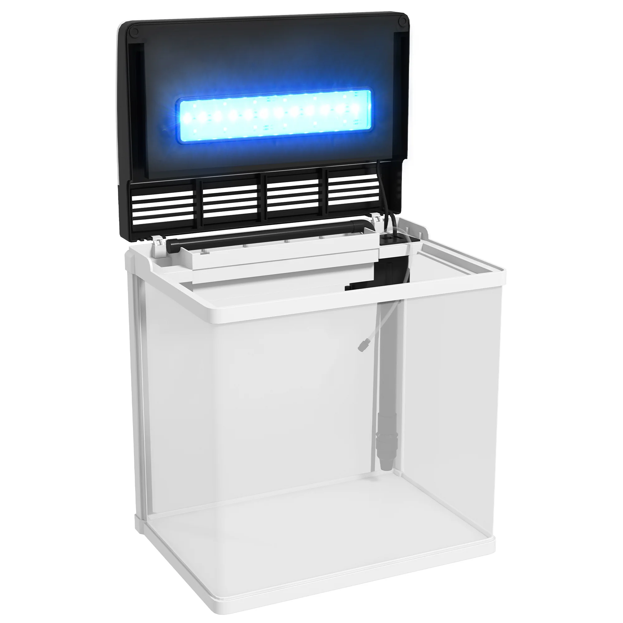 Miniatura 8