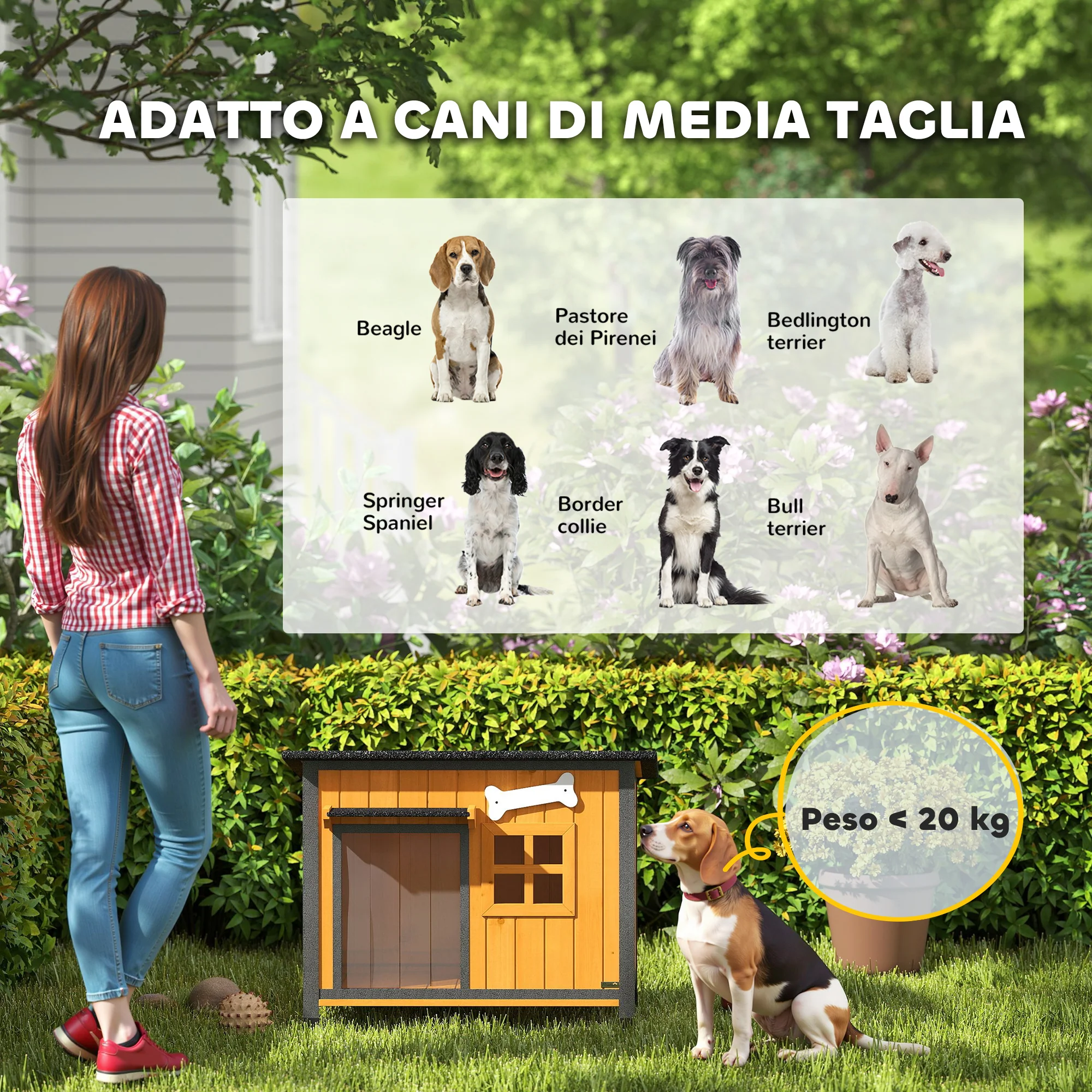 Miniatura 9