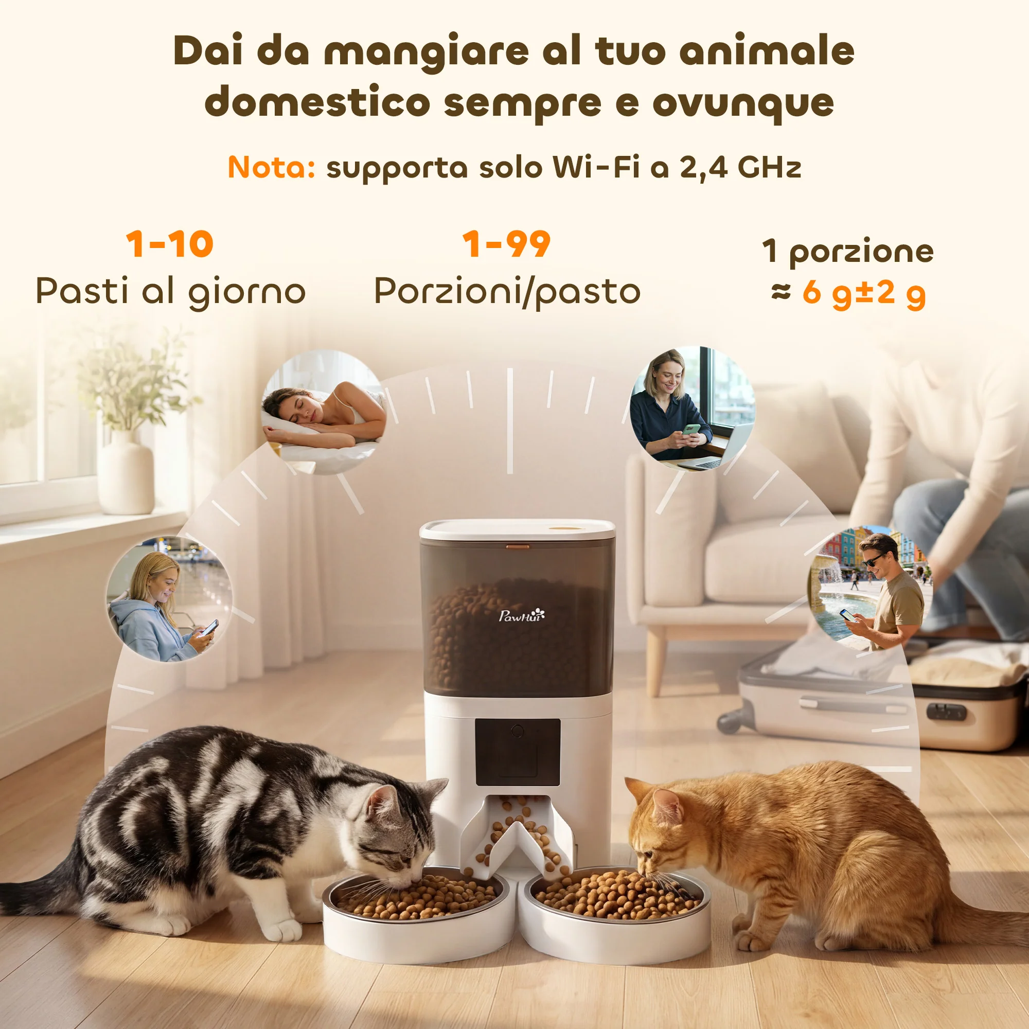 Miniatura 4
