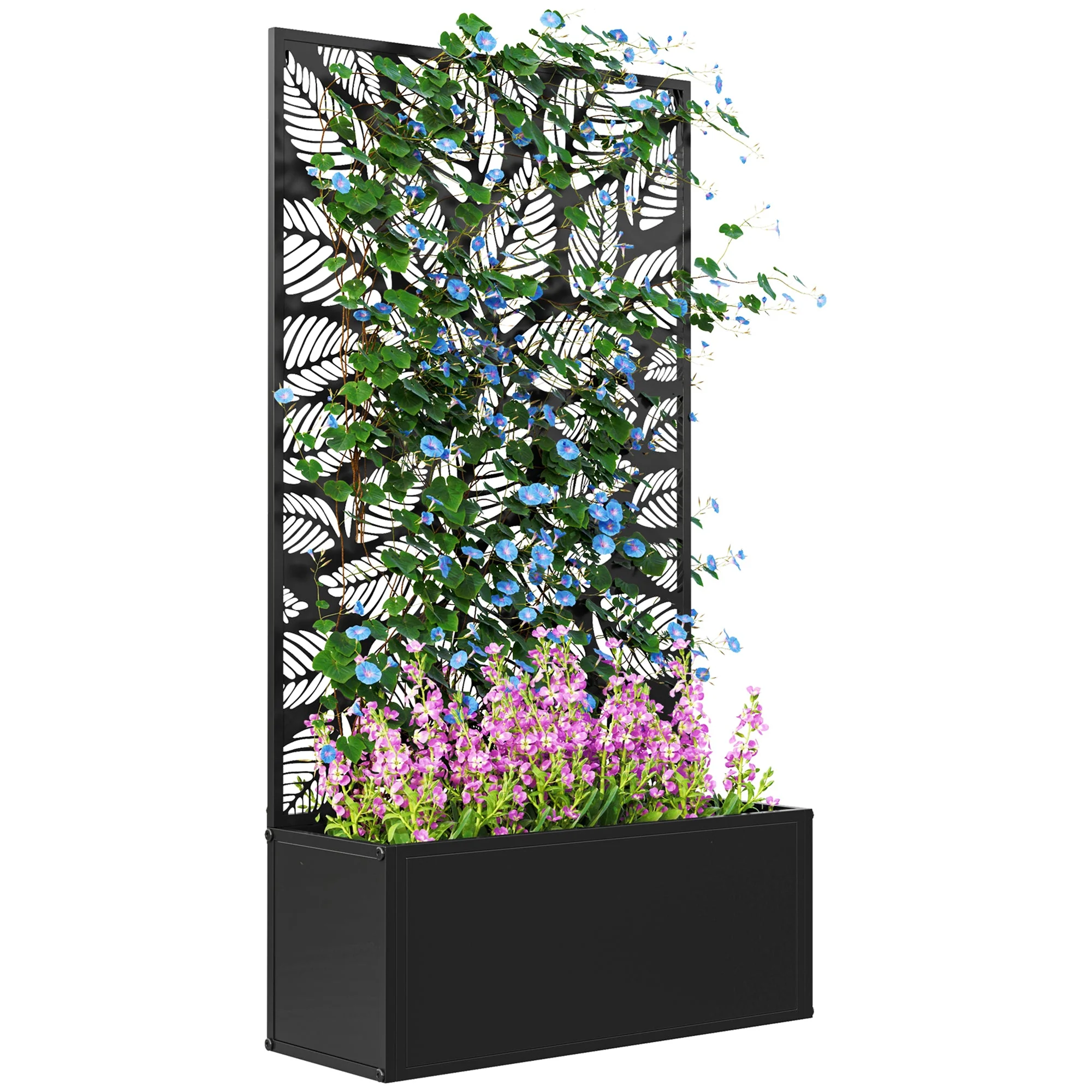 Miniatura 1