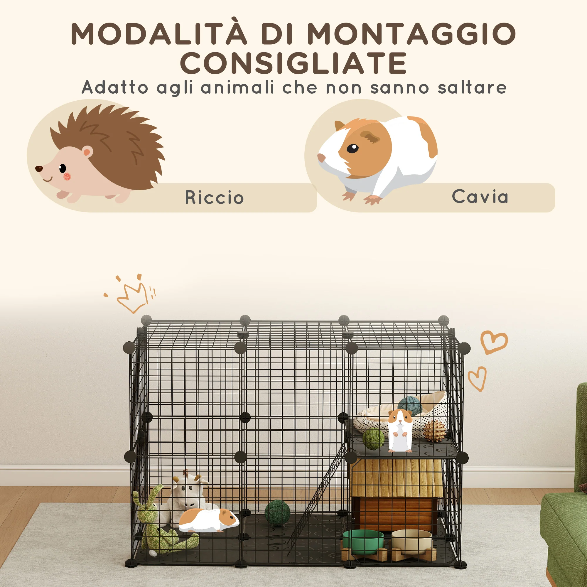 Miniatura 6