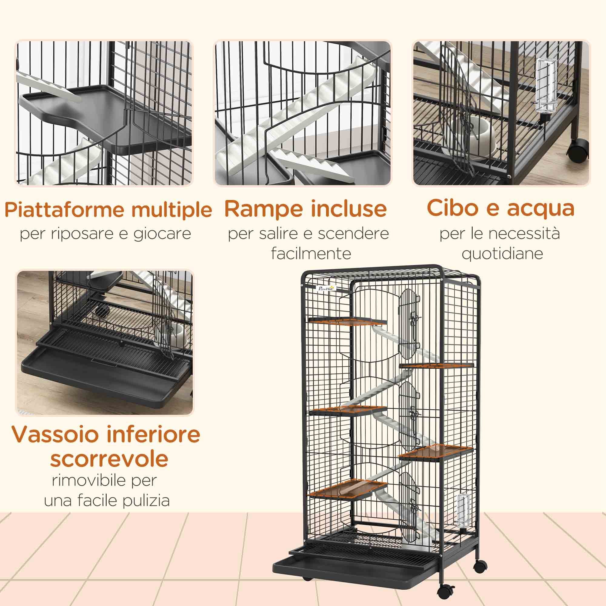 Miniatura 6