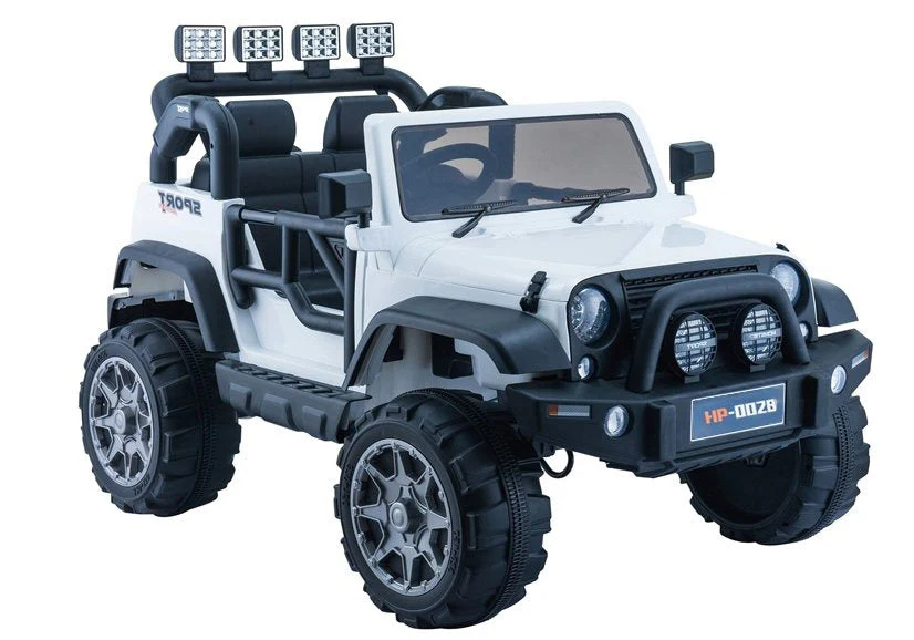 Miniatura 6
