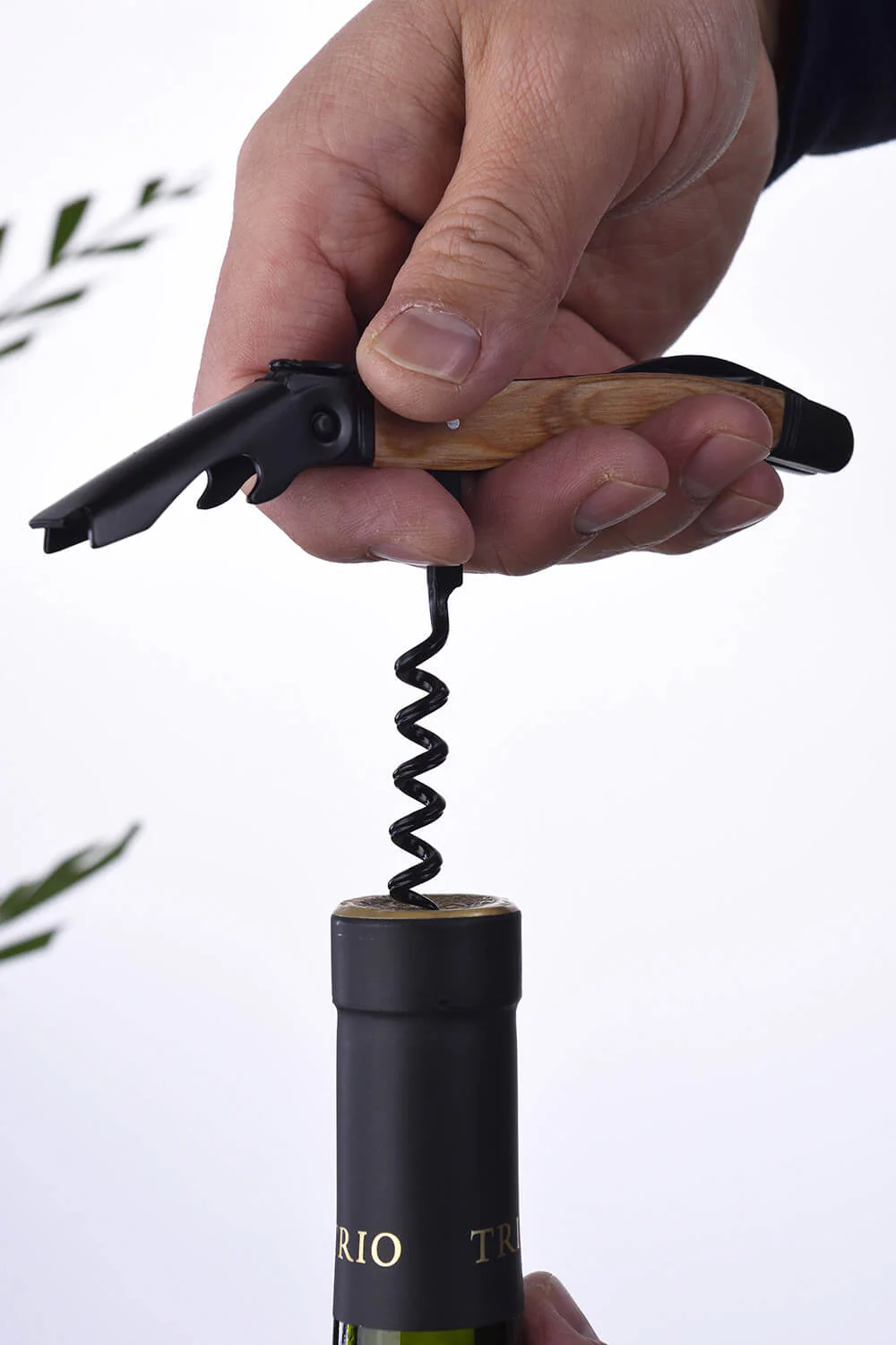 Miniatura 8