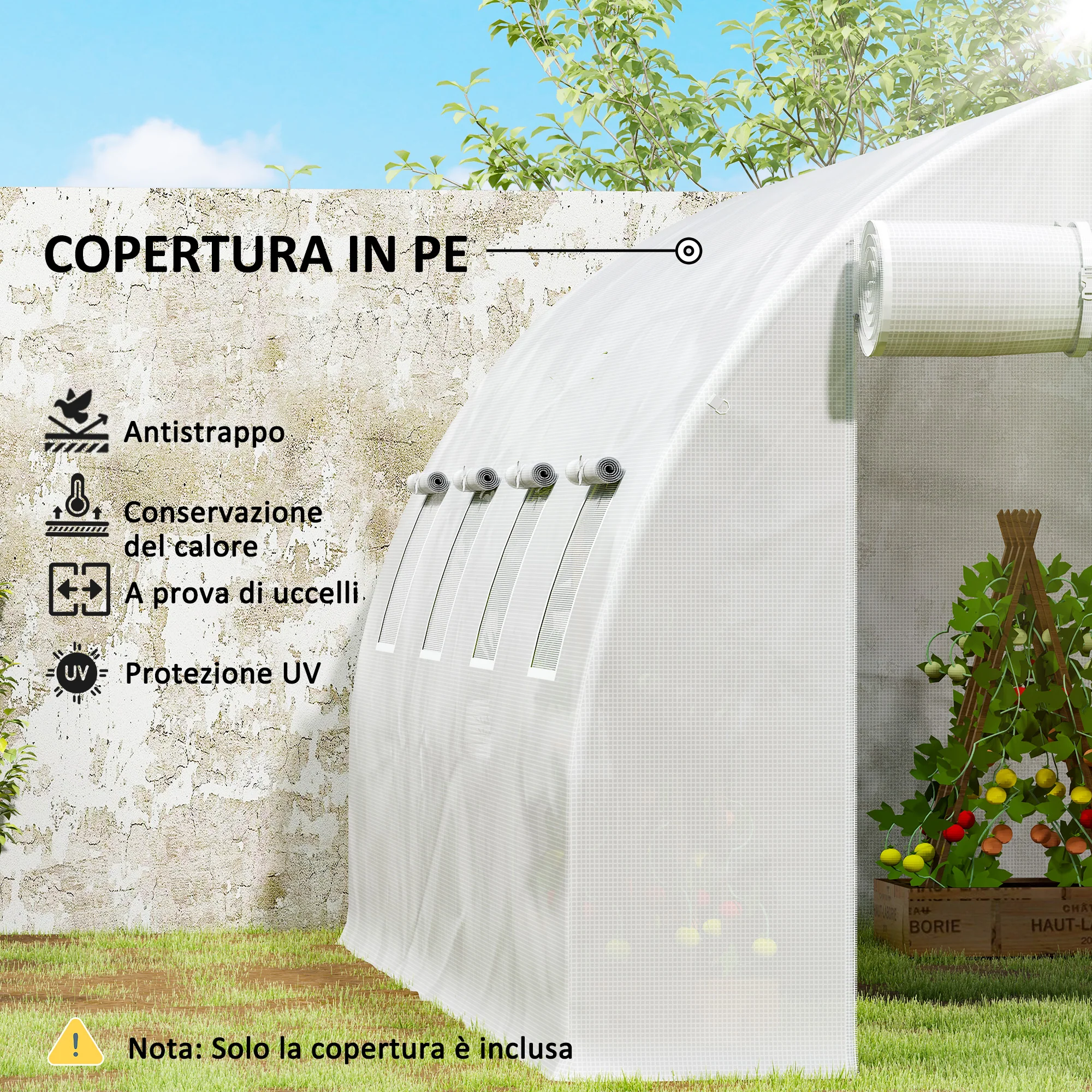 Miniatura 6